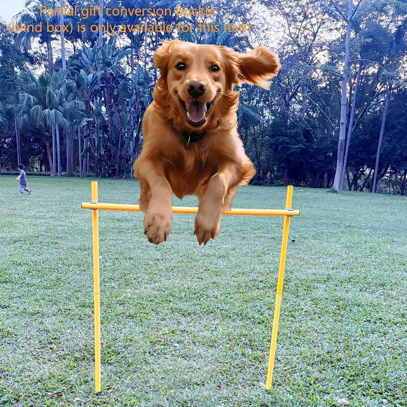 sinmajor Dog Agility Equipment, Agility Poles, Dog Jumps, Outdoor Obstacle Course with 6 Weave Poles and Adjustable Jump Bar, Partial Gift Conversion Buckle (Blind Box) Yellow - Image 4